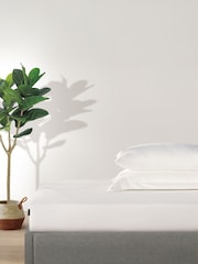 Duchamp Bright White Premium Cotton Sateen Fitted Sheet - Image 1 of 2