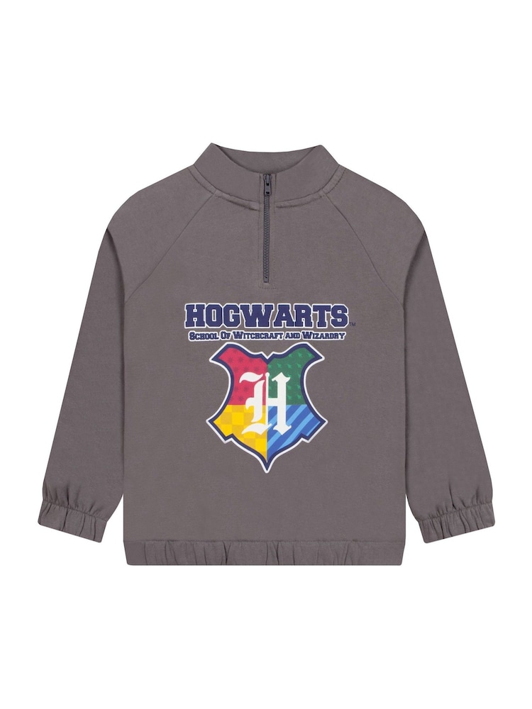 Character Grey Harry Potter Hogwarts Zip Up Sweatshirt - Image 1 of 12