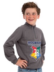 Character Grey Harry Potter Hogwarts Zip Up Sweatshirt - Image 10 of 12
