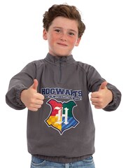 Character Grey Harry Potter Hogwarts Zip Up Sweatshirt - Image 11 of 12