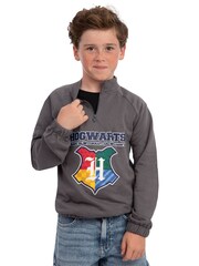 Character Grey Harry Potter Hogwarts Zip Up Sweatshirt - Image 12 of 12