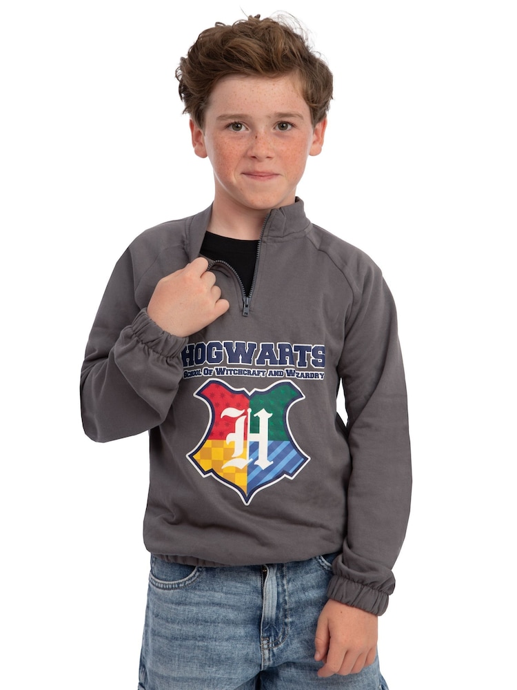 Character Grey Harry Potter Hogwarts Zip Up Sweatshirt - Image 12 of 12