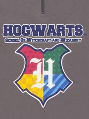 Character Grey Harry Potter Hogwarts Zip Up Sweatshirt - Image 2 of 12