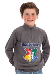 Character Grey Harry Potter Hogwarts Zip Up Sweatshirt - Image 7 of 12