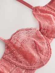 Terracotta Non Padded Balcony Premium Lace Bra - Image 6 of 7