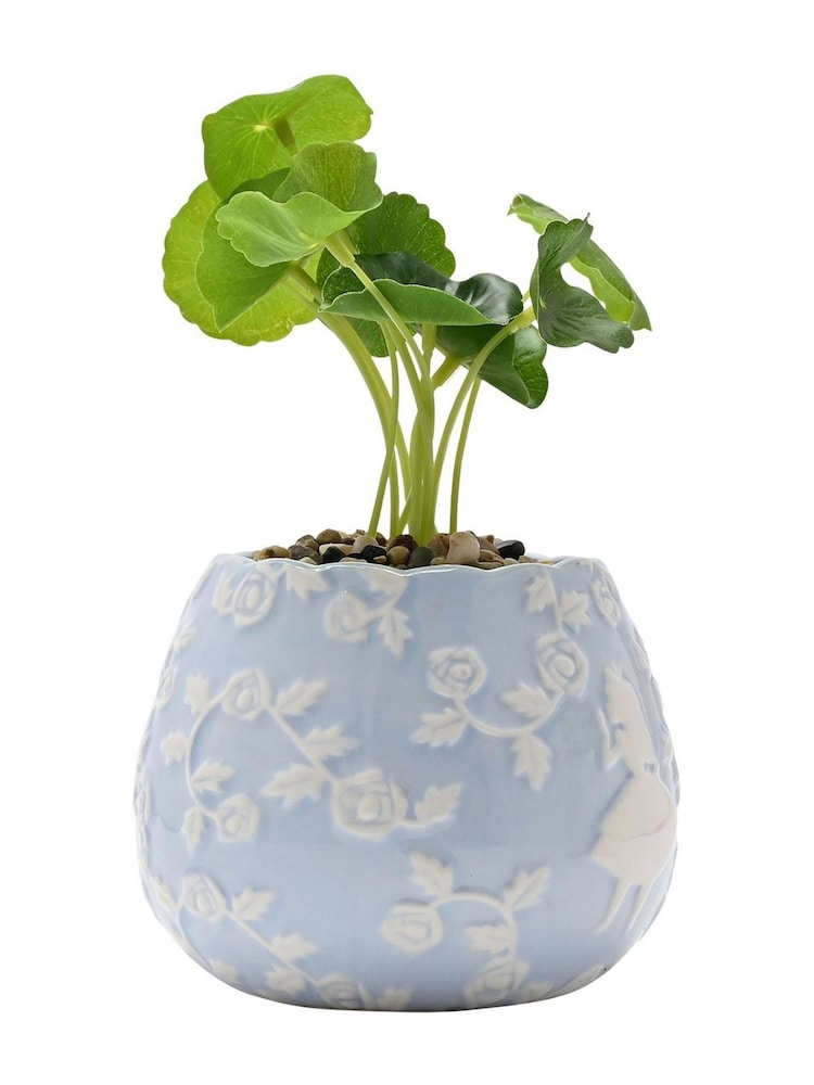 Widdop Set of 2 Blue Mini Disney Alice in Wonderland Planters with Faux Plants - Image 4 of 4 Widdop Set of 2 Blue Mini Disney Alice in Wonderland Planters with Faux Plants - Image 4 of 4