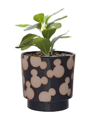 Widdop Black Disney Mickey Shapes Planter - Image 1 of 3
