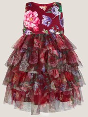 Monsoon Baby Christina Floral Tiered Party Dress - صورة 1 من 3