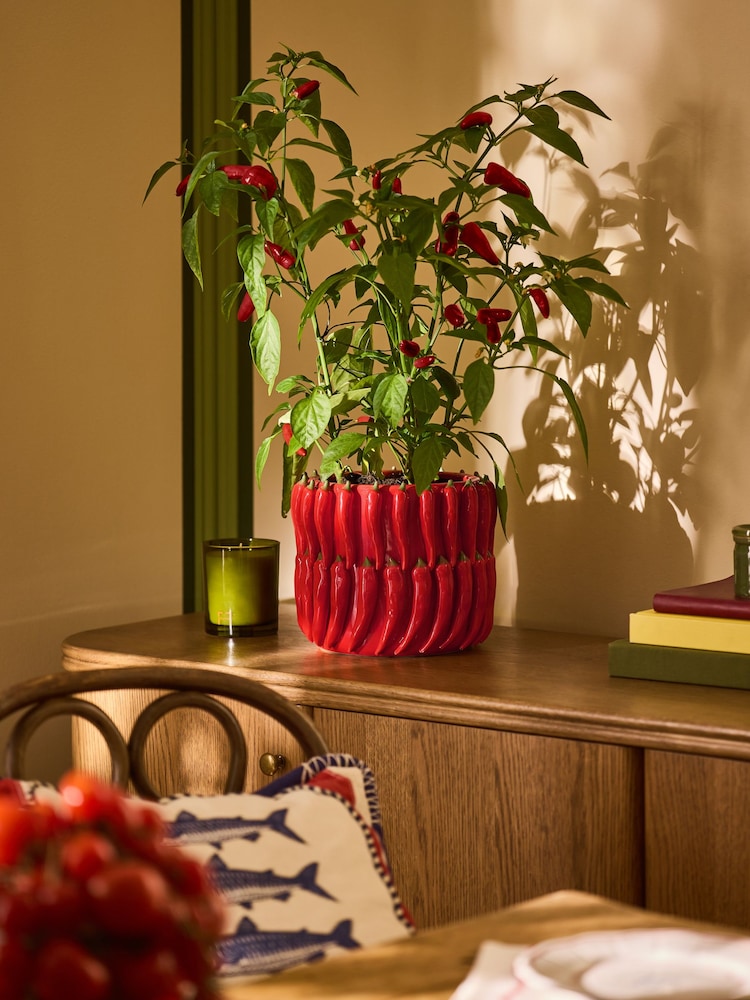 Lia Gold x Next Red/Green Chilli Planter - Image 1 of 6 Lia Gold x Next Red/Green Chilli Planter - Image 1 of 6
