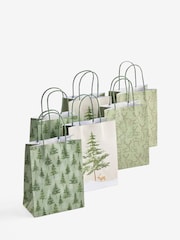 Green and Gold Forest 6 Pack Gift Bag - Image 1 of 1