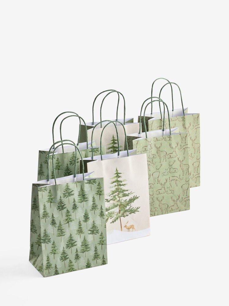 Green and Gold Forest 6 Pack Gift Bag - Image 1 of 1