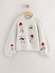 Ecru Embroidered Dog Christmas Jumper (3-16yrs) - Image 5 of 8