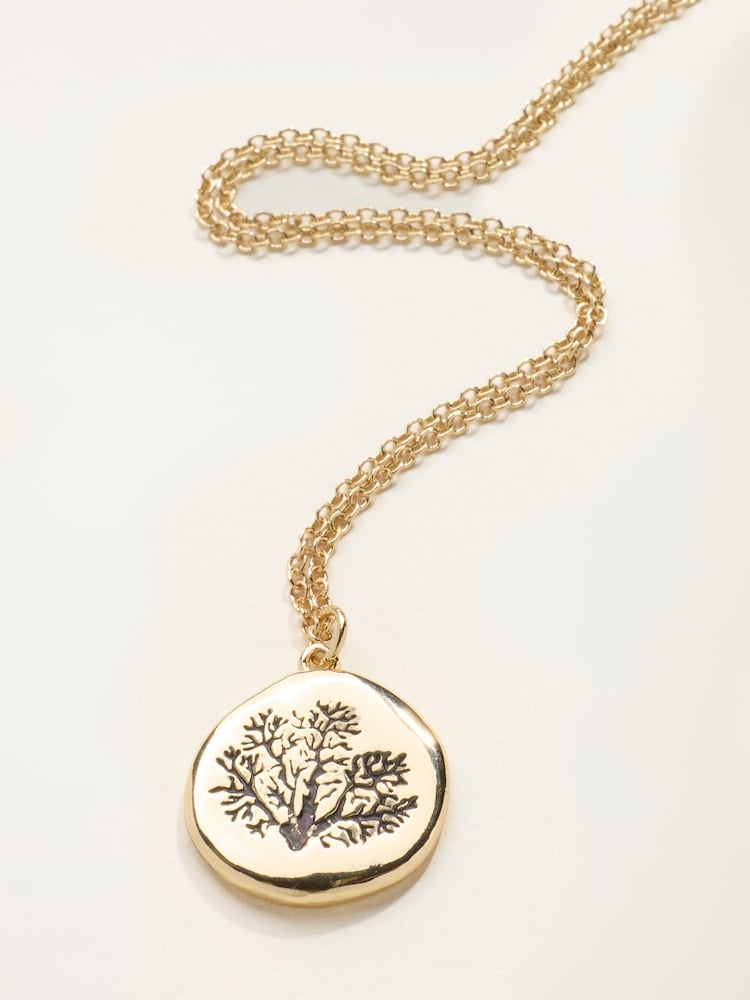 FatFace V and A Engraved Necklace - Slika 4 od 4