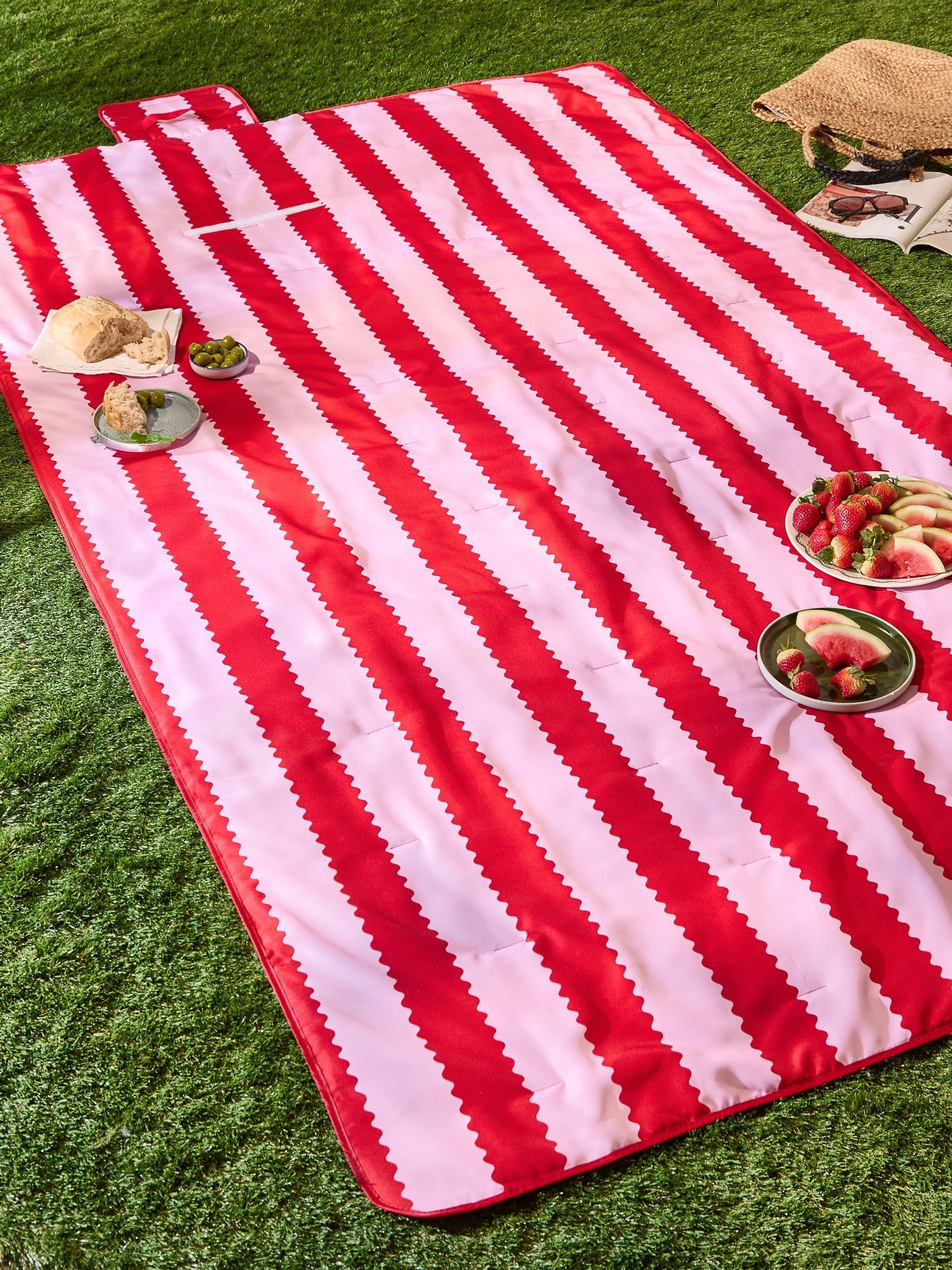 Buy Wylder Pink Birdie Stripe Water Resistant Outdoor Picnic