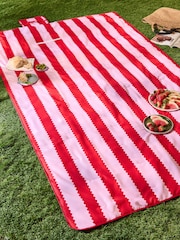 Wylder Pink Birdie Stripe Water Resistant Outdoor Picnic Blanket - Image 1 of 5