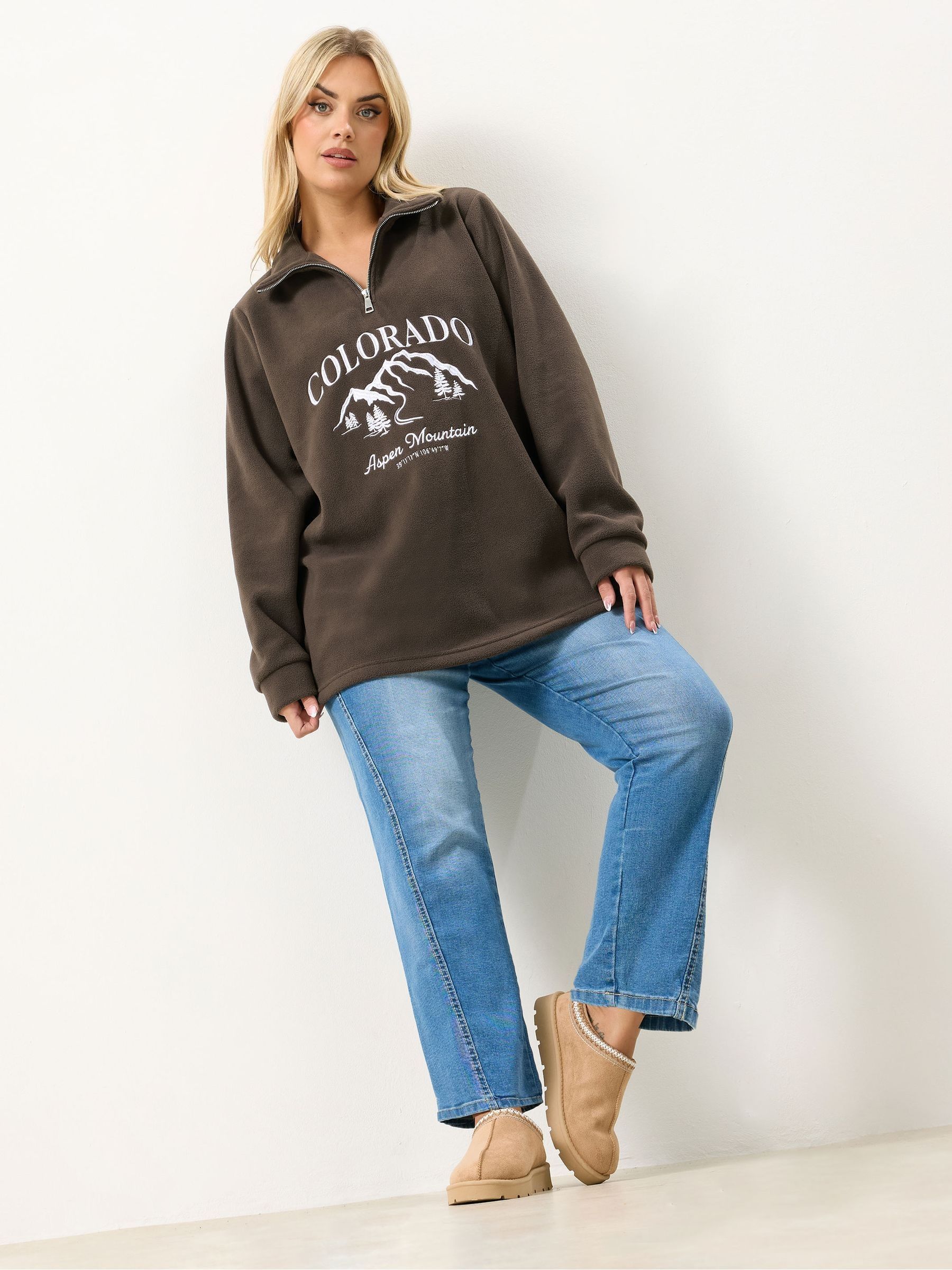 Buy Yours Curve Brown Half Zip Colorado Fleece from Next South Africa