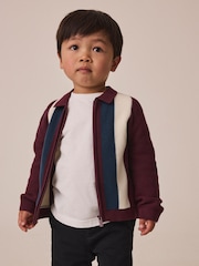 Purple/Navy Stripe Knitted Zip Through Polo Shirt (3mths-7yrs) - Image 2 of 7