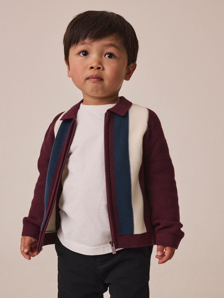 Purple/Navy Stripe Knitted Zip Through Polo Shirt (3mths-7yrs) - Image 2 of 7