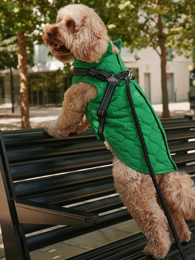 Green Quilted Dog Harness Coat - Image 1 of 9