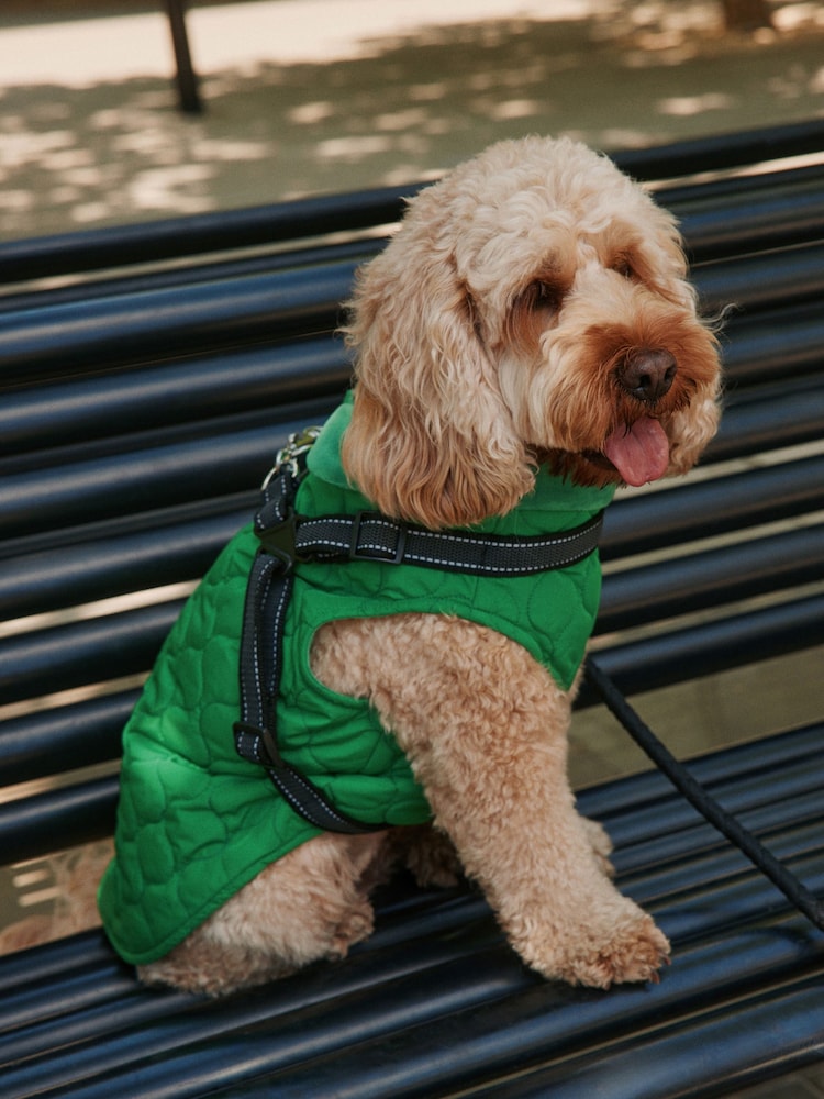 Green Quilted Dog Harness Coat - Image 2 of 9
