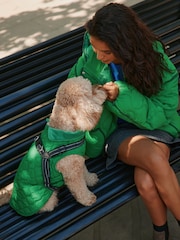 Green Quilted Dog Harness Coat - Image 4 of 9