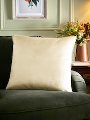 Appletree Cream Harlan Velvet Filled Cushion - Image 1 of 3