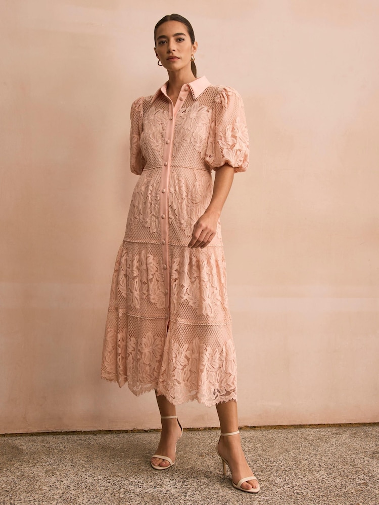 blush lace dress midi Coast Women's Lace Insert Midi Dress in Blush | Size: 4