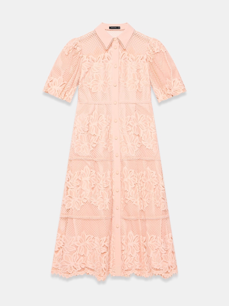 blush lace midi dress Blush Lace Reverie Dress