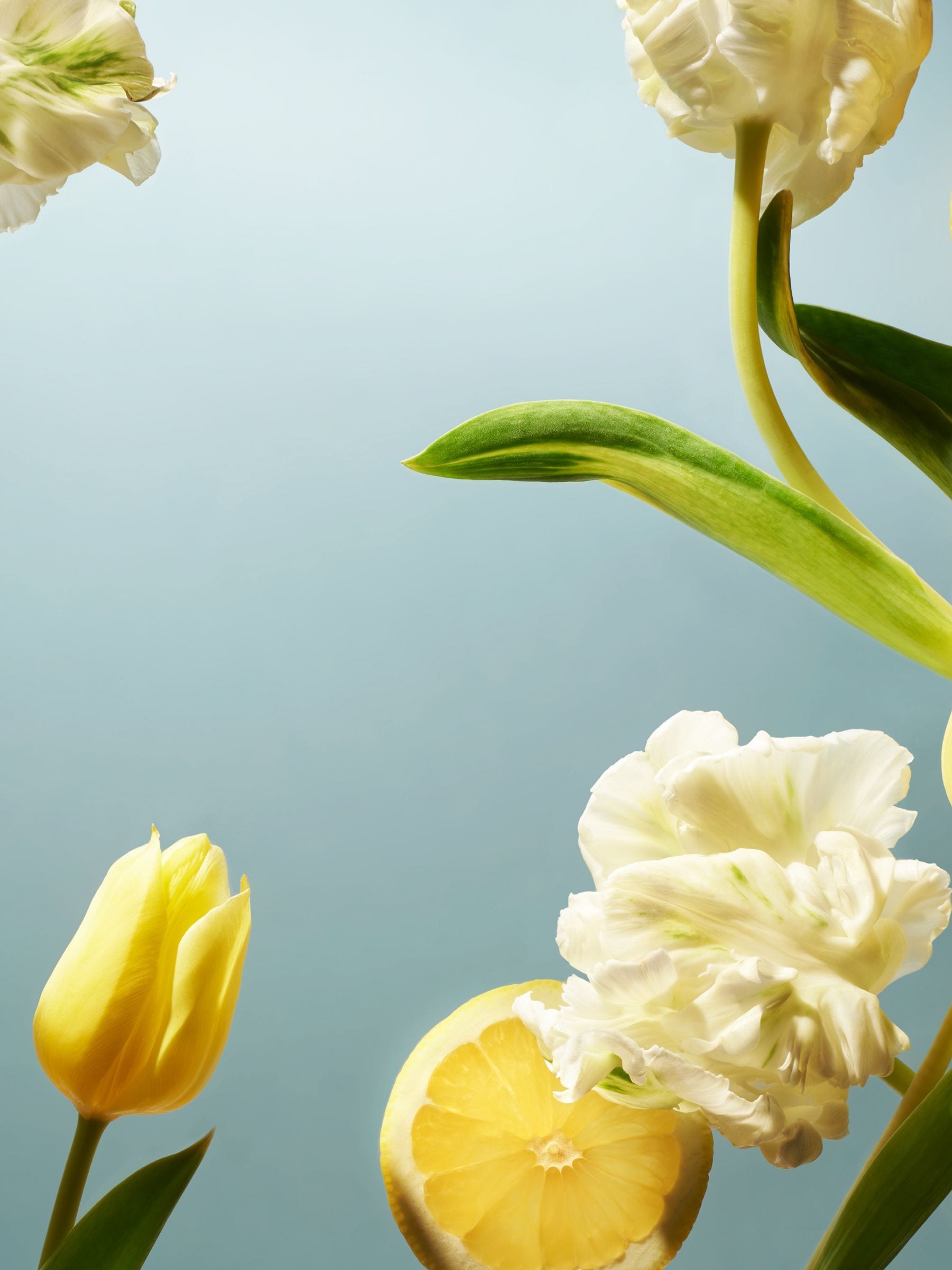Buy Rituals Amsterdam Collection Dutch Tulip & Yuzu Easter Gift