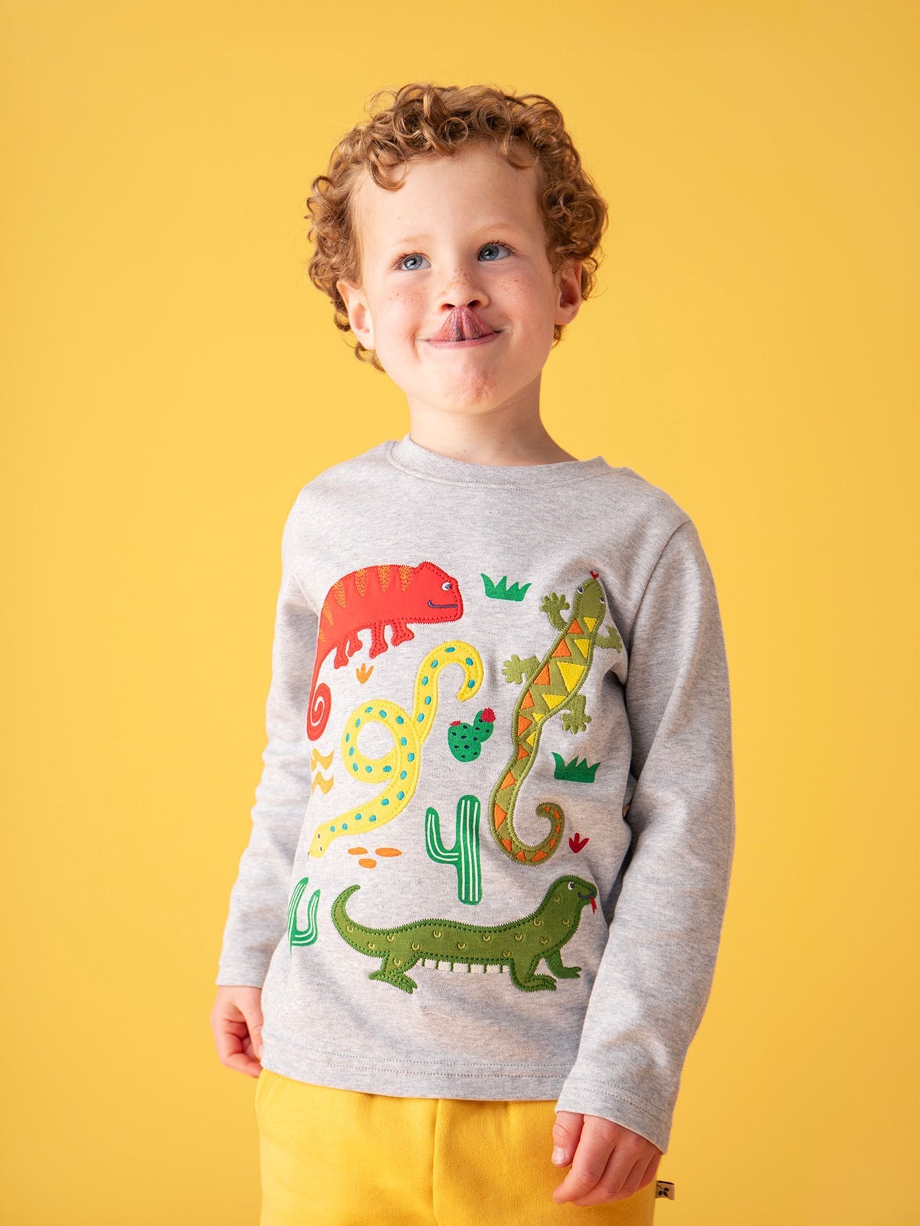 Frugi Grey Terrific Applique Top