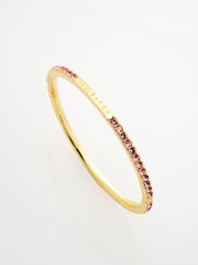 Ted Baker Gold Tone/Light Rose Claudia Narrow Crystal Hinged Bangle Bracelet - Image 2 of 5