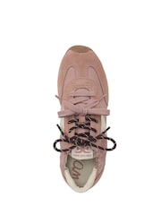 Sam Edelman Ivanna Vanlig passform LaceUp Trainers - Bild 6 av 7