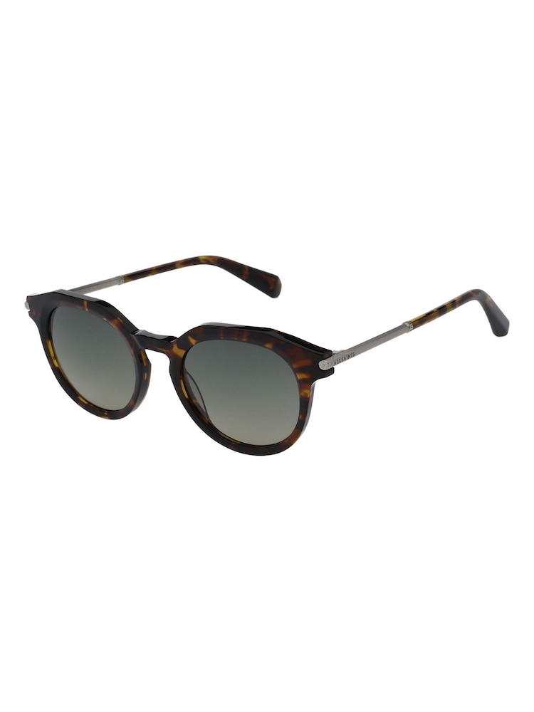 AllSaints Als5032 155 Dark Tortoise 49/20-145 Sunglasses - صورة 2 من 5