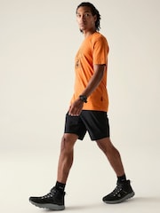 Musta - Dare 2b Torrek Lite -shortsit - Kuva 3 / 9