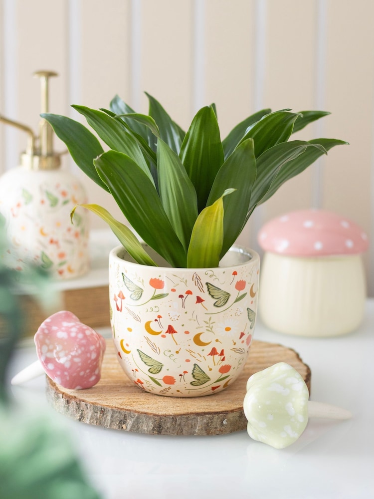 Something Different Cream Fairy Folklore Print Plant Pot - Image 1 of 4 Something Different Cream Fairy Folklore Print Plant Pot - Image 1 of 4