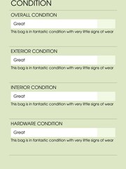 The Handbag Clinic Green Chanel Coco Top Handle Bag - Image 7 of 7