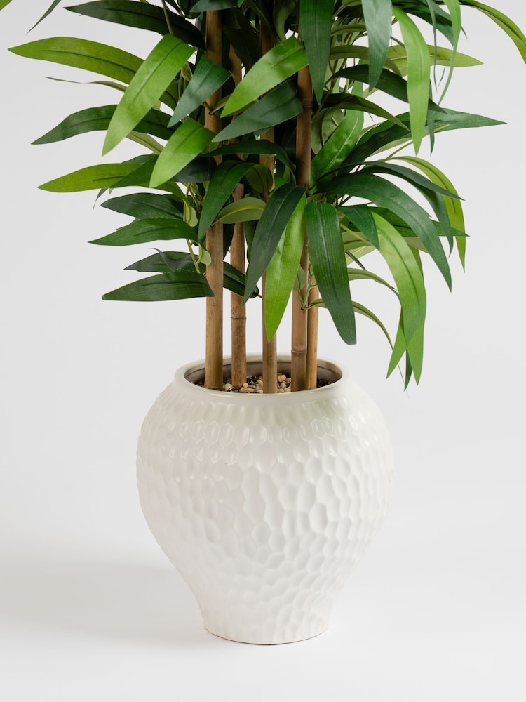 Scottish Everlastings Ltd Green Artificial Slimline tree in Dimpled Ceramic Pot - Image 2 of 3 Scottish Everlastings Ltd Green Artificial Slimline tree in Dimpled Ceramic Pot - Image 2 of 3