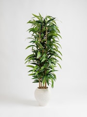 Scottish Everlastings Ltd Green Artificial Slimline tree in Dimpled Ceramic Pot - Image 3 of 3