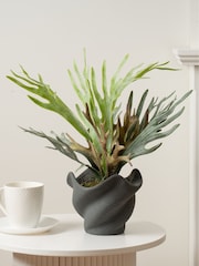 Scottish Everlastings Ltd Green Artificial Sea Greens in Cement Shell Pot - Image 1 of 3