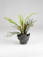 Scottish Everlastings Ltd Green Artificial Sea Greens in Cement Shell Pot - Image 2 of 3