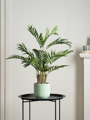 Scottish Everlastings Ltd Green Artificial Real Touch Areca Palm - Image 1 of 2