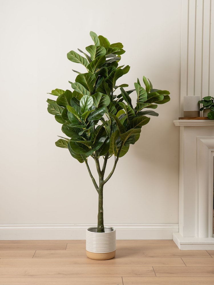 Scottish Everlastings Ltd Green Artificial Fiddleleaf Tree in Pot - Image 1 of 3 Scottish Everlastings Ltd Green Artificial Fiddleleaf Tree in Pot - Image 1 of 3