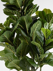 Scottish Everlastings Ltd Green Artificial Fiddleleaf Tree in Pot - Image 2 of 3