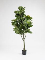 Scottish Everlastings Ltd Green Artificial Fiddleleaf Tree in Pot - Image 3 of 3