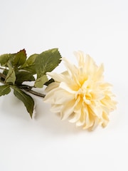 Scottish Everlastings Ltd Cream Artificial Dalia Flower Stems 3 Pack - Image 3 of 3