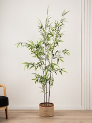 Scottish Everlastings Ltd Green Artificial Real Touch Tree - Image 1 of 3