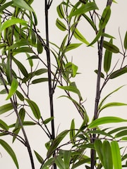 Scottish Everlastings Ltd Green Artificial Real Touch Tree - Image 2 of 3