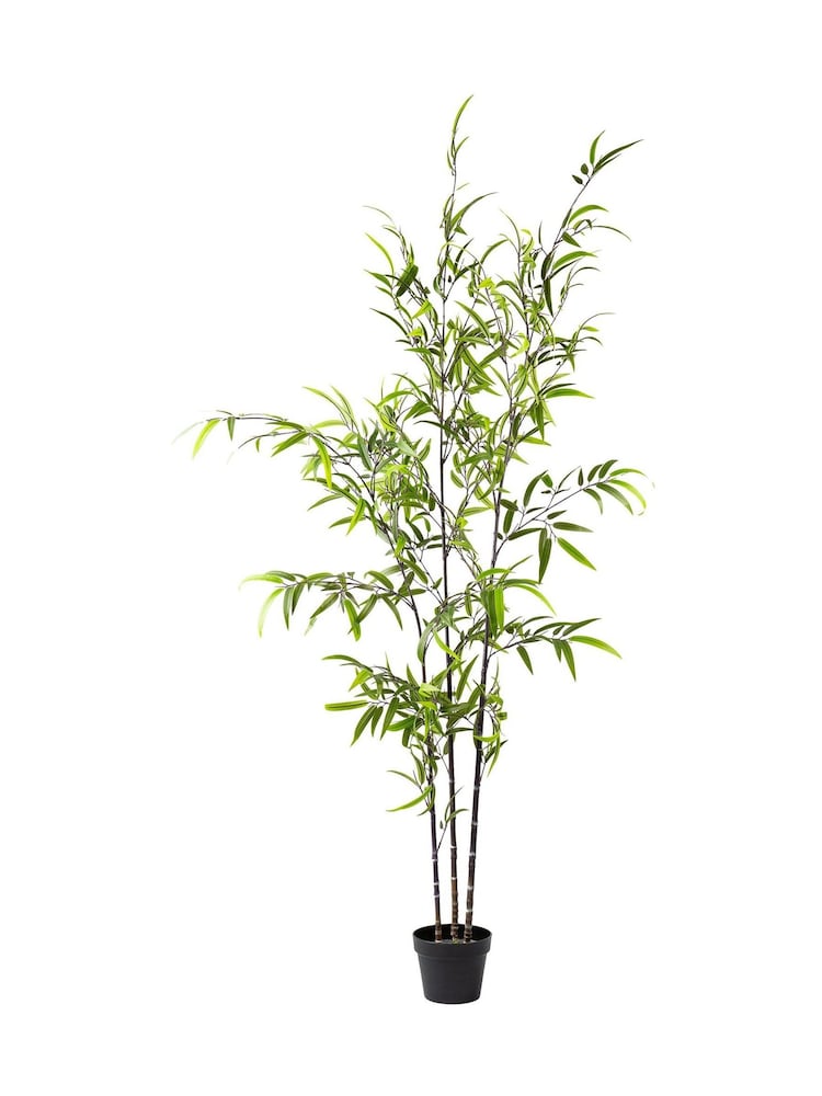 Scottish Everlastings Ltd Green Artificial Real Touch Tree - Image 3 of 3 Scottish Everlastings Ltd Green Artificial Real Touch Tree - Image 3 of 3