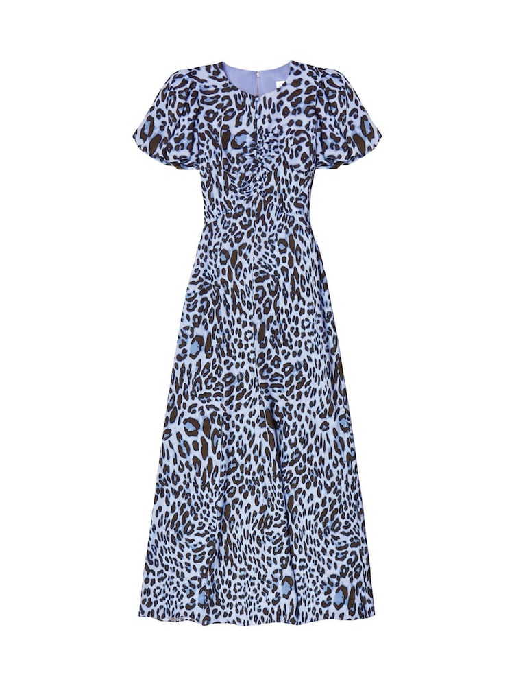 Ro&Zo Blue Petite Petite Leopard Print Button Detail Dress - Image 6 of 6 Ro&Zo Blue Petite Petite Leopard Print Button Detail Dress - Image 6 of 6