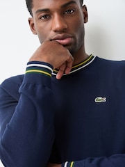 Lacoste Striped Cotton Jersey Sweater - Kuva 2 / 4